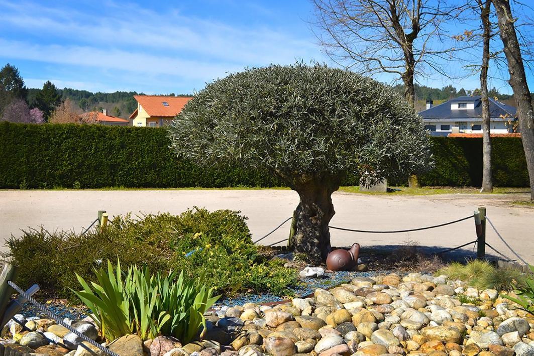 Hotel Os Caracoles Pereiro de Aguiar Kültér fotó
